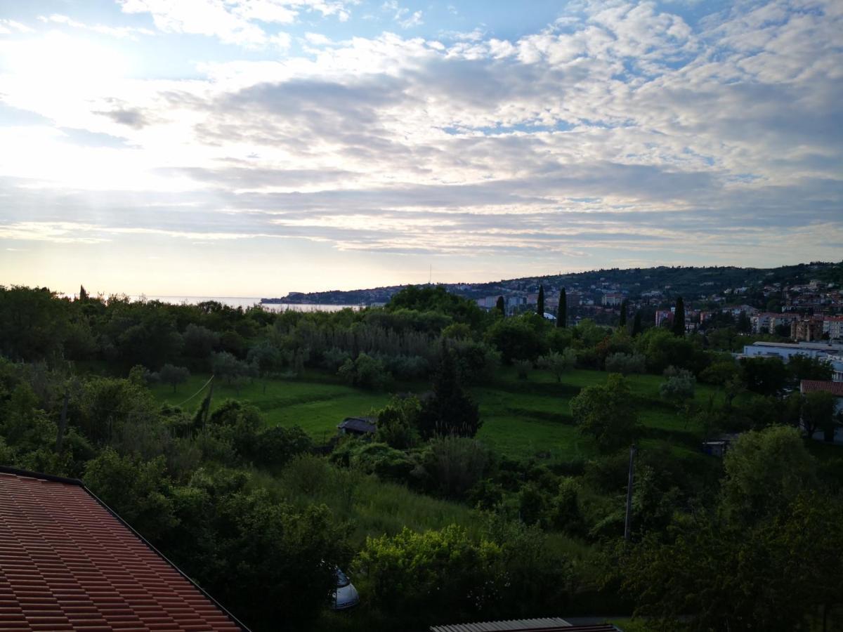 Solmar, Apartment With Big Terrace Near Nature Portorož Exterior foto